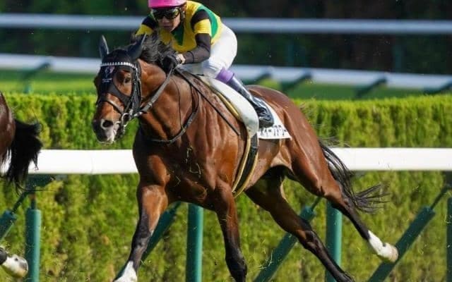 充実気配漂う超良血2億円馬 両親譲りの末脚で待望の3勝目を勝ち取る