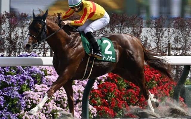 【エルムS想定馬・騎手】ミトノオー、ドゥラエレーデなど18頭