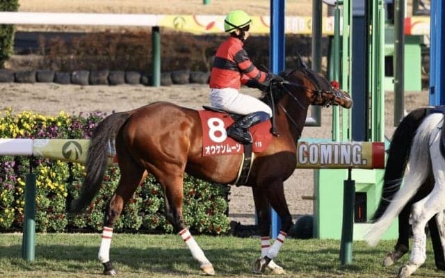 オウケンムーンの競走馬登録抹消…地方競馬へ移籍