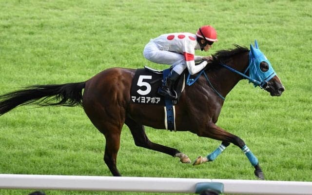 【競馬】アイビスSDは軽量馬を狙うのが鉄則 潜在的な千直適性を秘める伏兵の一発に期待