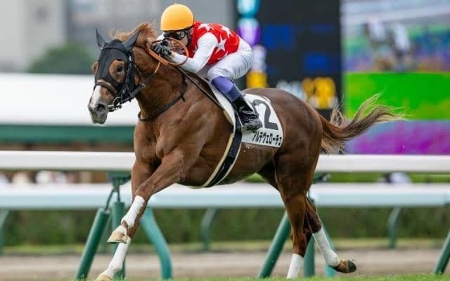 【札幌5R新馬戦結果】モーリス産駒アルテヴェローチェが人気に応えてV