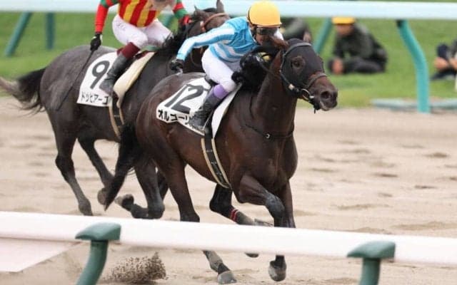 【札幌8R】武豊騎乗 オルゴーリオがデビューから2連勝
