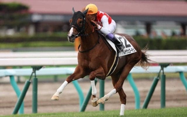 【新馬/札幌5R】武豊騎乗 アルテヴェローチェが人気に応える