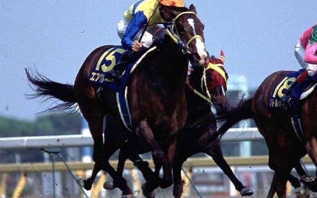 祖母は名牝エアグルーヴ 福永祐一厩舎のルージュレアリーズがデビューVなるか