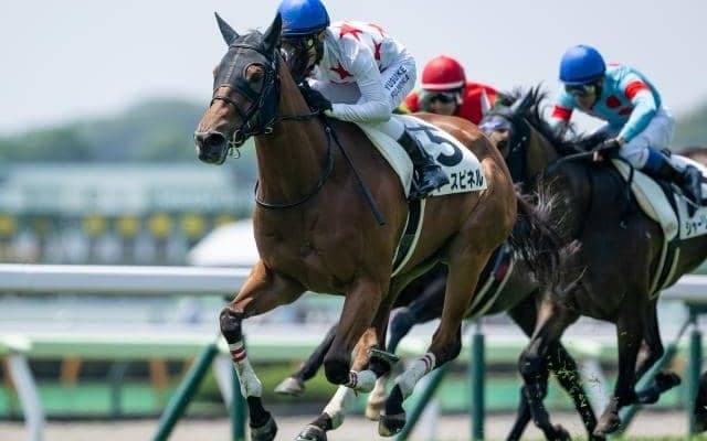 重賞2勝ミッキーチャームの初仔 ミッキースピネルがデビュー2連勝なるか