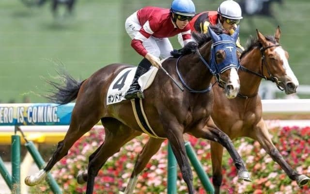【クイーンS予想】3歳馬からGIホースまで 夏の女王目指して好メンバー集結