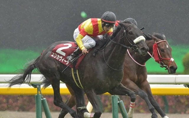 【競馬】クイーンＳはＧＩレベルの実力馬が集う一戦も、穴党記者は北の大地で一発狙う伏兵２頭で大勝負