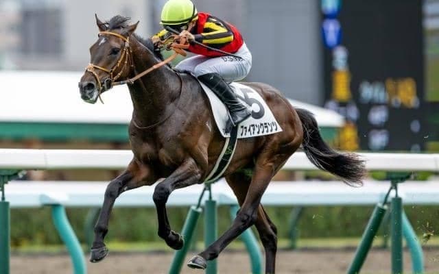 【札幌5R新馬戦結果】ドゥラメンテ産駒ファイアンクランツが押し切りV