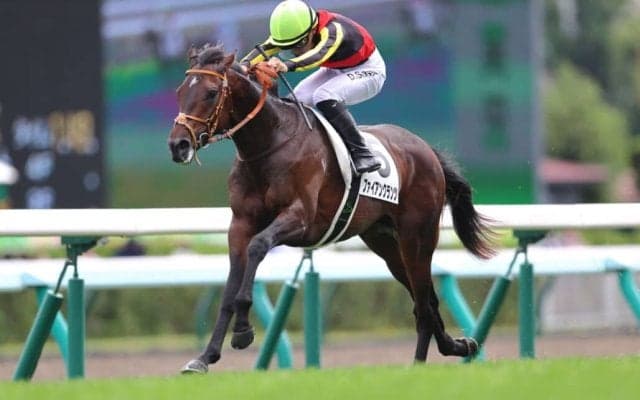 【新馬/札幌5R】佐々木大輔騎手が3連勝…ファイアンクランツが新馬勝ち