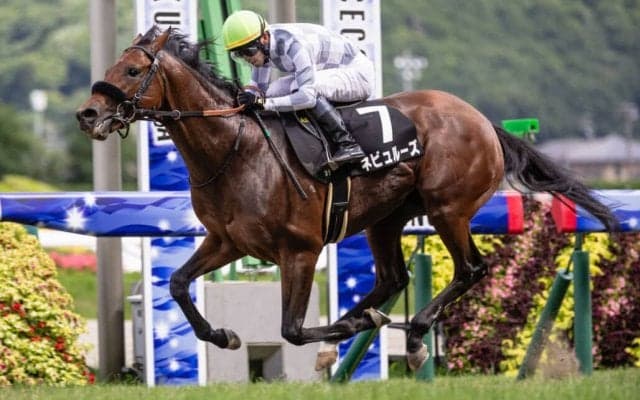 【伊達特別】菅原明「状態は良く感じていた」ネビュルーズが最内強襲