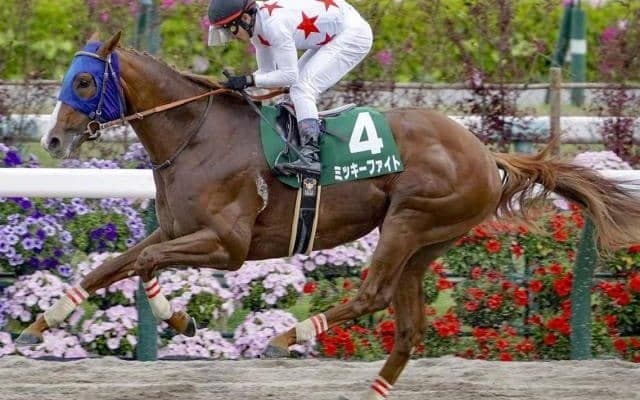 新潟でレパードSと札幌でエルムSのダート2重賞/今週の競馬界の見どころ