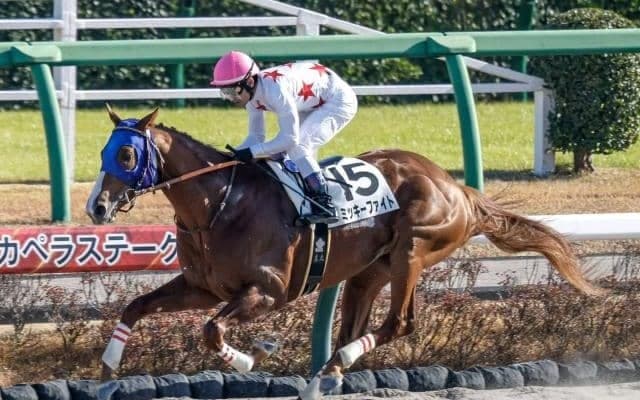 【レパードS見どころ】前走が不完全燃焼だったミッキーファイトが鬱憤を晴らす