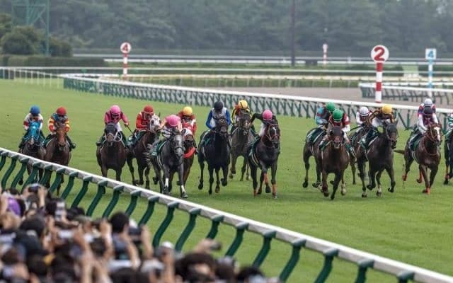 競馬場を離れて温泉やラーメン屋に行く人も!? ファンは“競走休止時間帯”をどう過ごしていた？ 