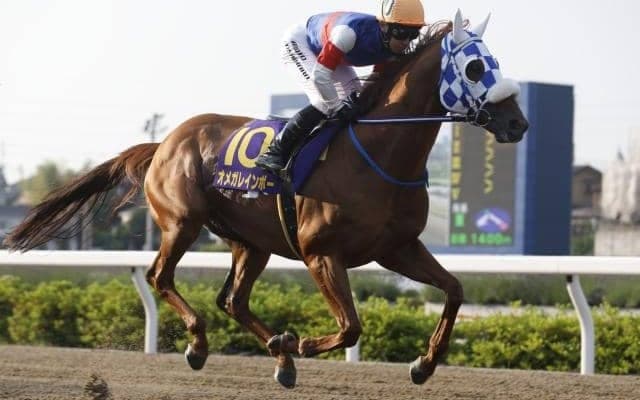 【大井・サンタアニタT枠順】重賞初制覇がかかるオメガレインボーは6枠10番