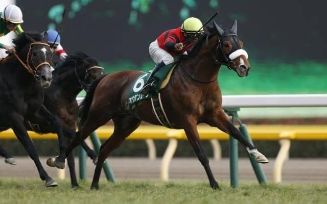 【先週のJRA抹消馬】18年の共同通信杯覇者オウケンムーン、ダート短距離で活躍のアティードなど