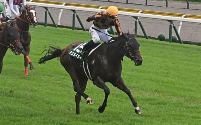 “サンデー系初”のアイビスSD勝利を飾ったモズメイメイ 血統に秘められた「千直適性」とは