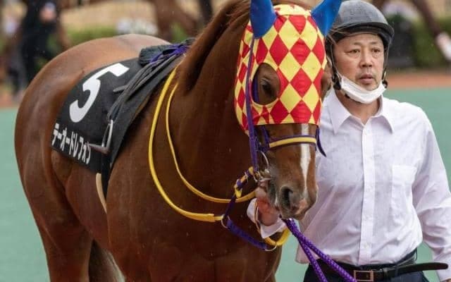ダートGIを9勝した兄・エスポワールシチーが2着に敗れた舞台 名馬の弟がエルムSで初タイトル獲得なるか
