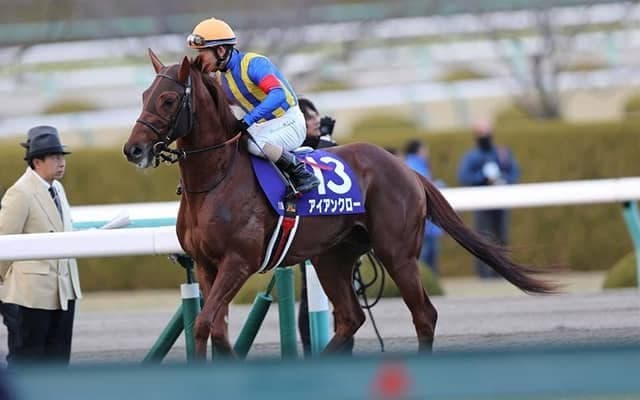 7月30日はプロレス記念日！プロレスが由来となった馬を紹介