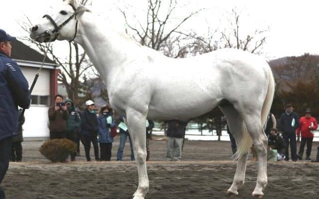 ダンカークが種牡馬を引退 イーストスタッドが発表