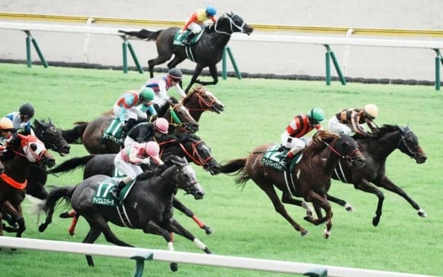 【アイビスSD】モズメイメイがゴール前で抜け出す…重賞3勝目