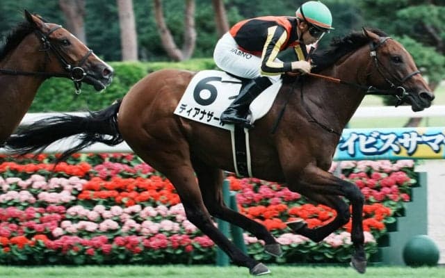 【新馬/新潟3R】ディアナザールが人気に応えてデビュー勝ち…母はドナウブルー
