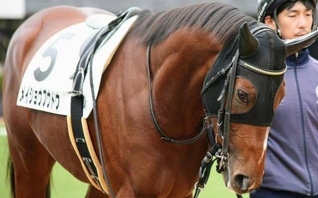 3年目期待の若手が5度目の挑戦で重賞初Vへ コンビ3戦2勝の相棒とレパードSに挑戦