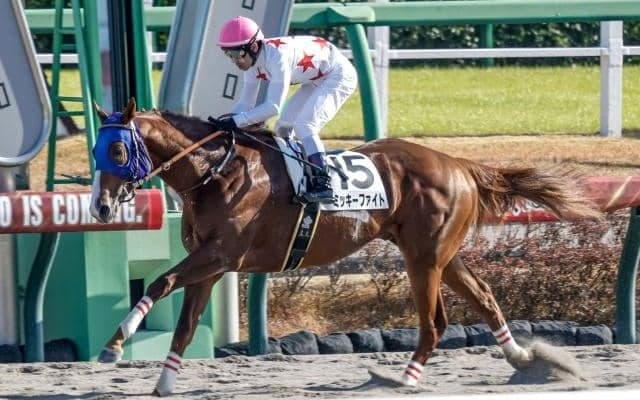 【レパードS予想オッズ】ミッキーファイトが予想1番人気