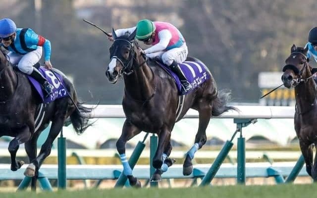 【エルムS予想オッズ】ドゥラエレーデが予想1番人気