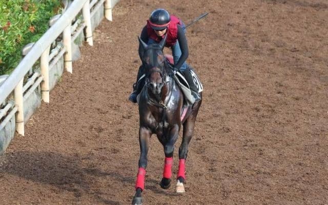 ジレトールなど、クラスターC追い切り速報/栗東トレセンニュース