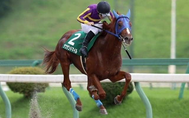 【盛岡・若鮎賞結果】サウザンドマイルが6馬身差の圧勝！重賞初制覇