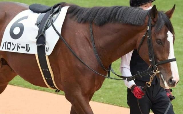 一族には三冠馬など活躍馬ズラリ！ 血統馬が前走海外6着から巻き返しを狙う