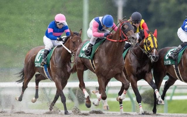 【盛岡・オパールC】ベルベストランナーが快勝…中央未勝利馬が移籍後いきなりV