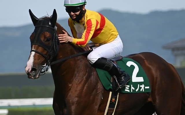 今回もハナは譲らない！ 現役屈指の逃げ馬がエルムSで重賞連勝狙う