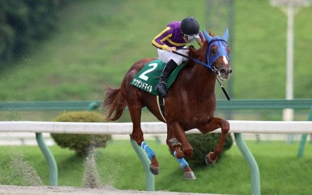 【盛岡・若鮎賞】サウザンドマイルが6馬身差圧勝…山本「ベストの展開に持ち込めた」