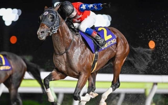 【大井・サンタアニタT結果】デュードヴァンが豪快に差し切って重賞2勝目を挙げる