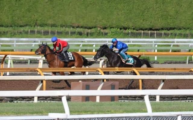 【JRA新馬戦】重賞3勝馬の仔レイナデアルシーラや良血馬ジェゼロなどが初陣
