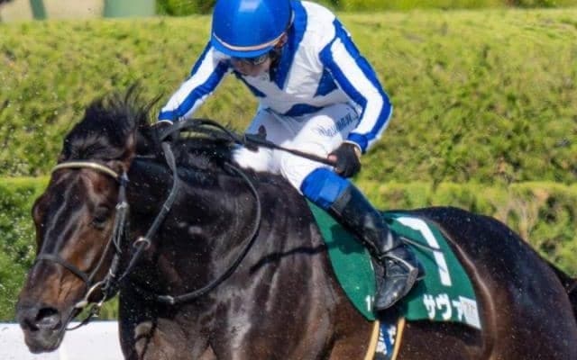 “エルムS男”といえるかも？ 大沼S覇者とタッグで7年ぶり「6勝目」狙う