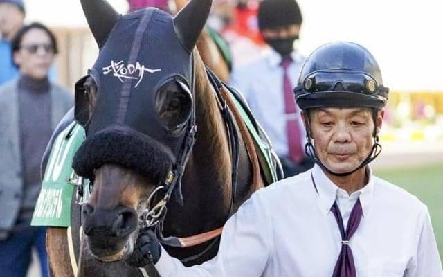 22年ぶり2頭目の達成なるか エルムSで5歳牝馬が紅一点で牡馬たちに挑む