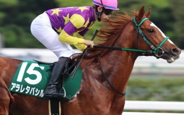 野中悠太郎騎手が待望の重賞Vへ 切れ味鋭い伏兵とのタッグでレパードS参戦