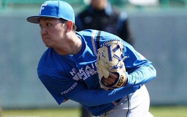 日ハムドラ2右腕が引退決断　野球から離れ「新しい挑戦」…昨季戦力外で独立L入り