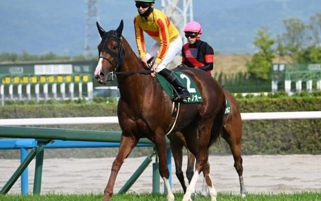 【エルムS枠順確定】ミトノオーは5枠7番、ドゥラエレーデは6枠10番
