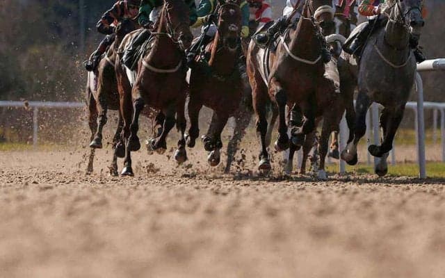 【エルムS／データ攻略】ミトノオーとナチュラルハイの「買い or 消し」　“勝率75％”該当馬に鉄板級ジャッジ