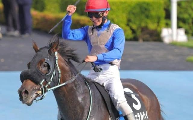 エルムSはやっぱりマリーンS組が中心？ 「狙えるor狙えない」の分岐点を発見