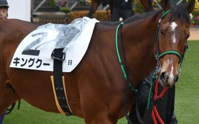 キタサンブラック半弟が初の千直参戦 藤田菜七子騎手を背に1年4カ月ぶりVへ