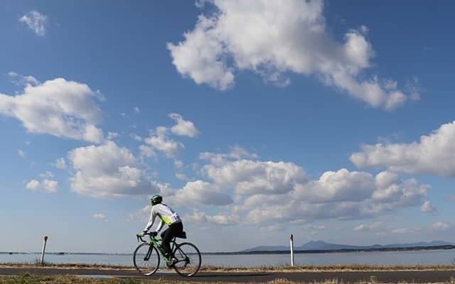“トレセンのまち”美浦村には何がある？ 戦争遺構は映画やドラマのロケ地として脚光