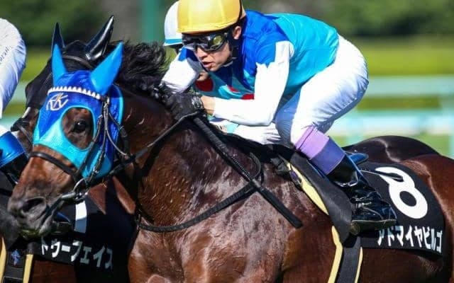 セレクト5億8000万円の高額馬 全5勝挙げる武豊騎手を背にひさびさの白星なるか