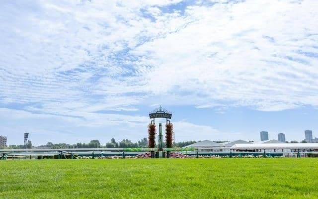 パリ2024オリンピックで話題の“馬術”を間近で見よう！ 札幌競馬場で今週末にホースショー