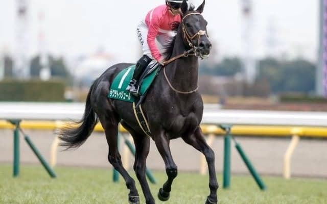 【関屋記念想定馬・騎手】サクラトゥジュール、トゥードジボンなど18頭