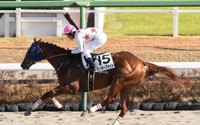 レパードＳで期待度が高い２頭は？　「新潟・ダート1800ｍ」の勝率が高い種牡馬からピックアップ