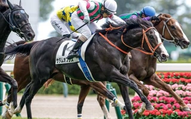 「エアグルーヴ2×3」を持つスワーヴリチャードの甥 単勝103.6倍の低評価覆す/新潟5R結果